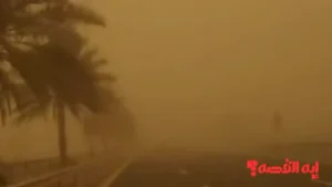 توقعات 6 أيام.. تنويه جوي بخصوص الشبورة وأمطار متفاوتة الشدة